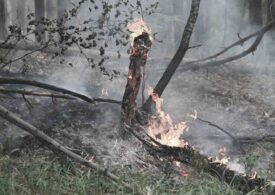 Qazaq Oil выделил 50 млн тенге пострадавшим от пожаров в Абайской области