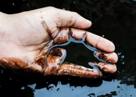 Нефть упала до минимума после объявления о прекращении огня между Израилем и Ираном