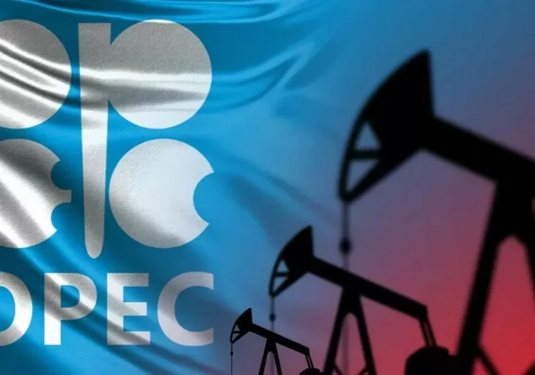 В августе ОПЕК+ может увеличить квоты на добычу нефти